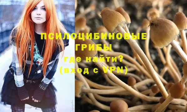 герыч Бронницы