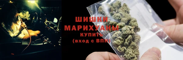 крисы Бугульма
