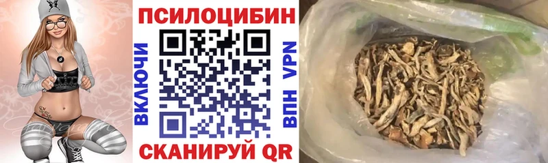 Псилоцибиновые грибы Psilocybe Мытищи