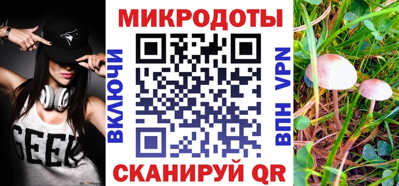 купить наркотик Мытищи нарко площадка телеграм Псилоцибиновые грибы Psilocybe